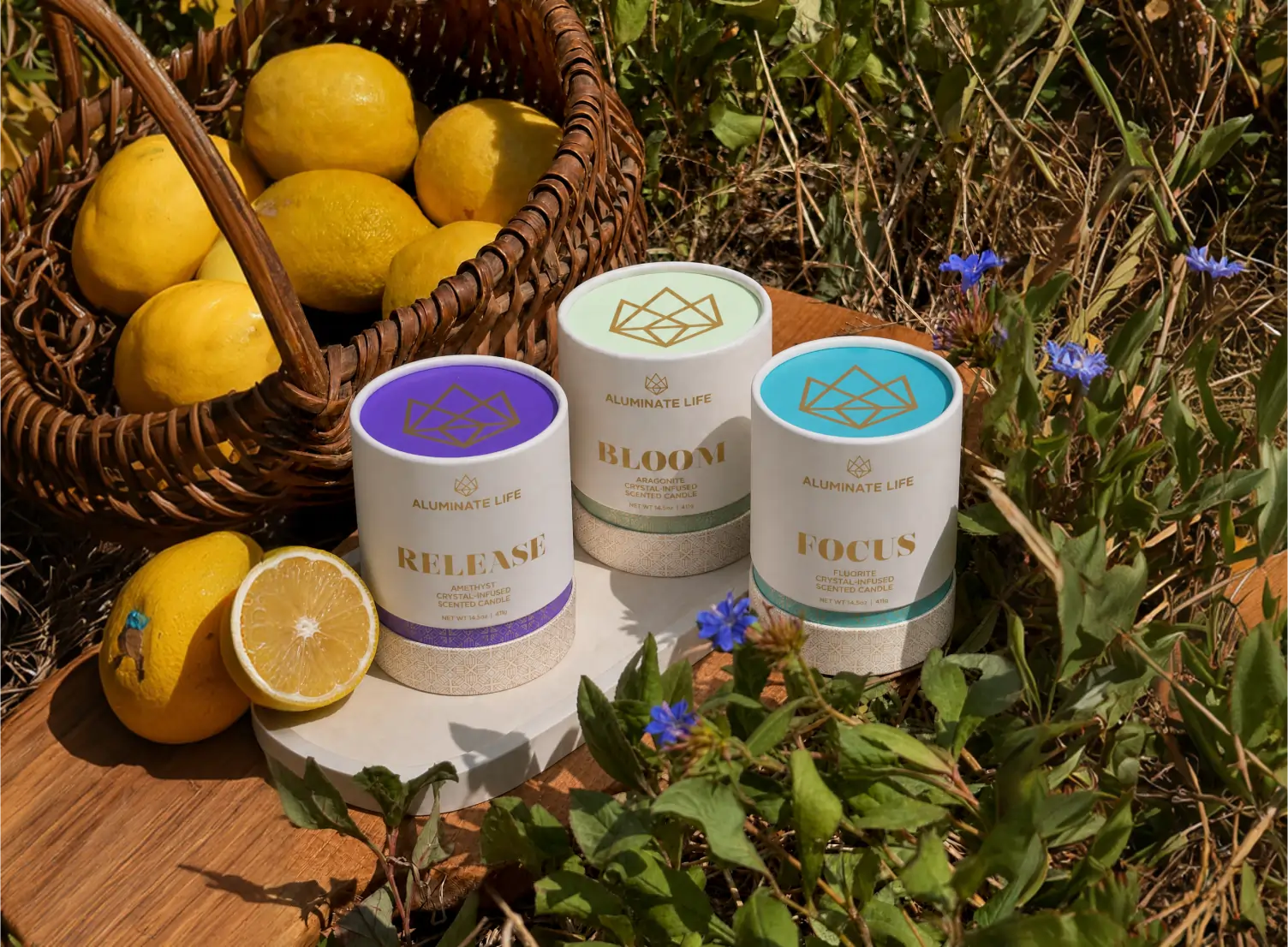 Luxury Scented Candles